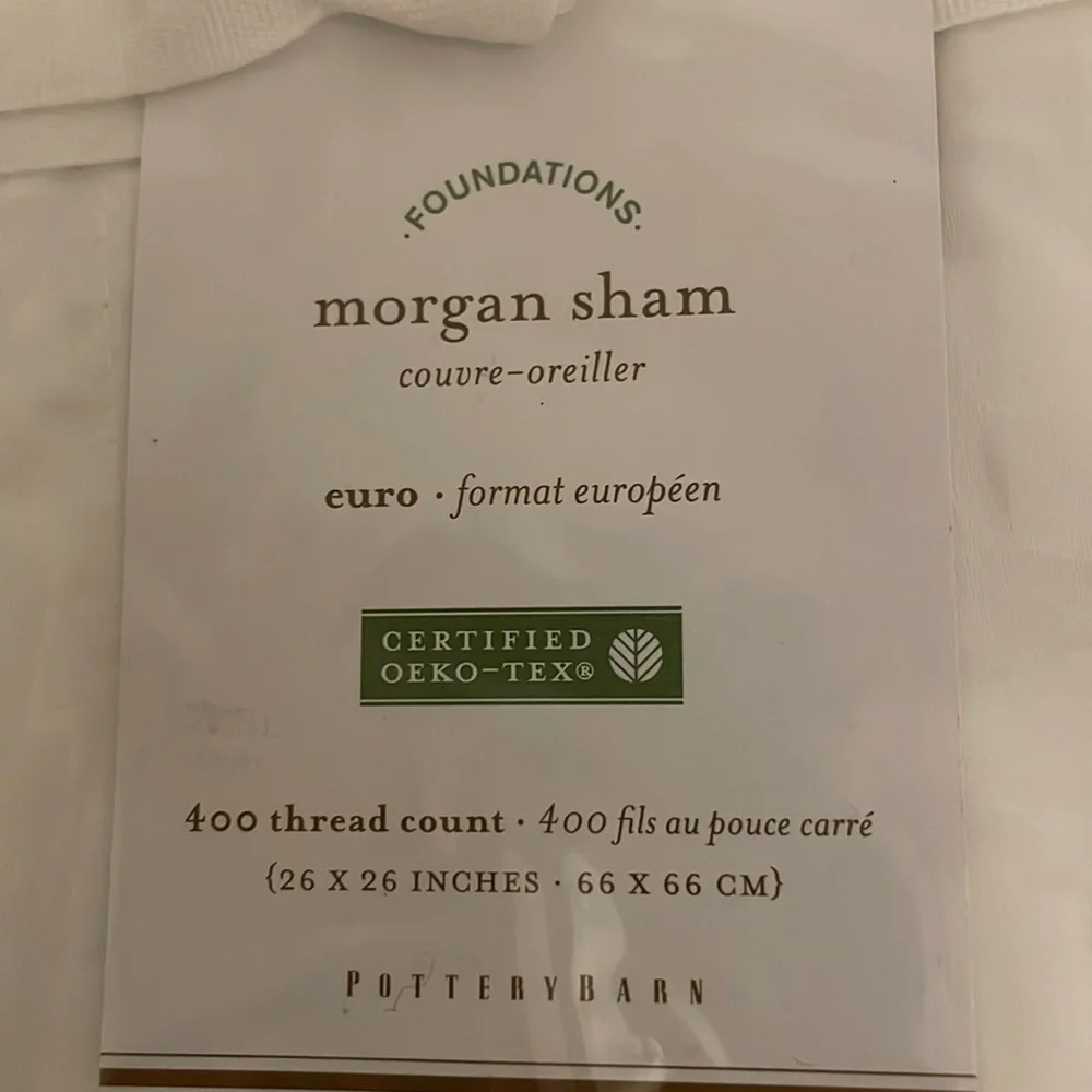 Pottery Barn Euro Shams (2)